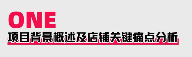 助力商家提升店铺层级月销售突破60WOG真人游戏火蝠案例 定制营销策略(图5)