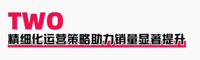 助力商家提升店铺层级月销售突破60WOG真人游戏火蝠案例 定制营销策略(图10)